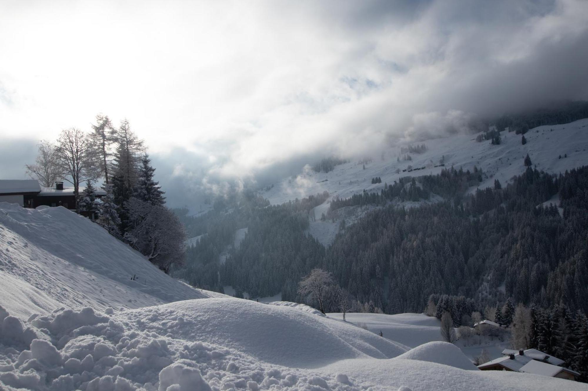 Ferienwohnung Bergpanorama Wild600 Schwarzenau  外观 照片
