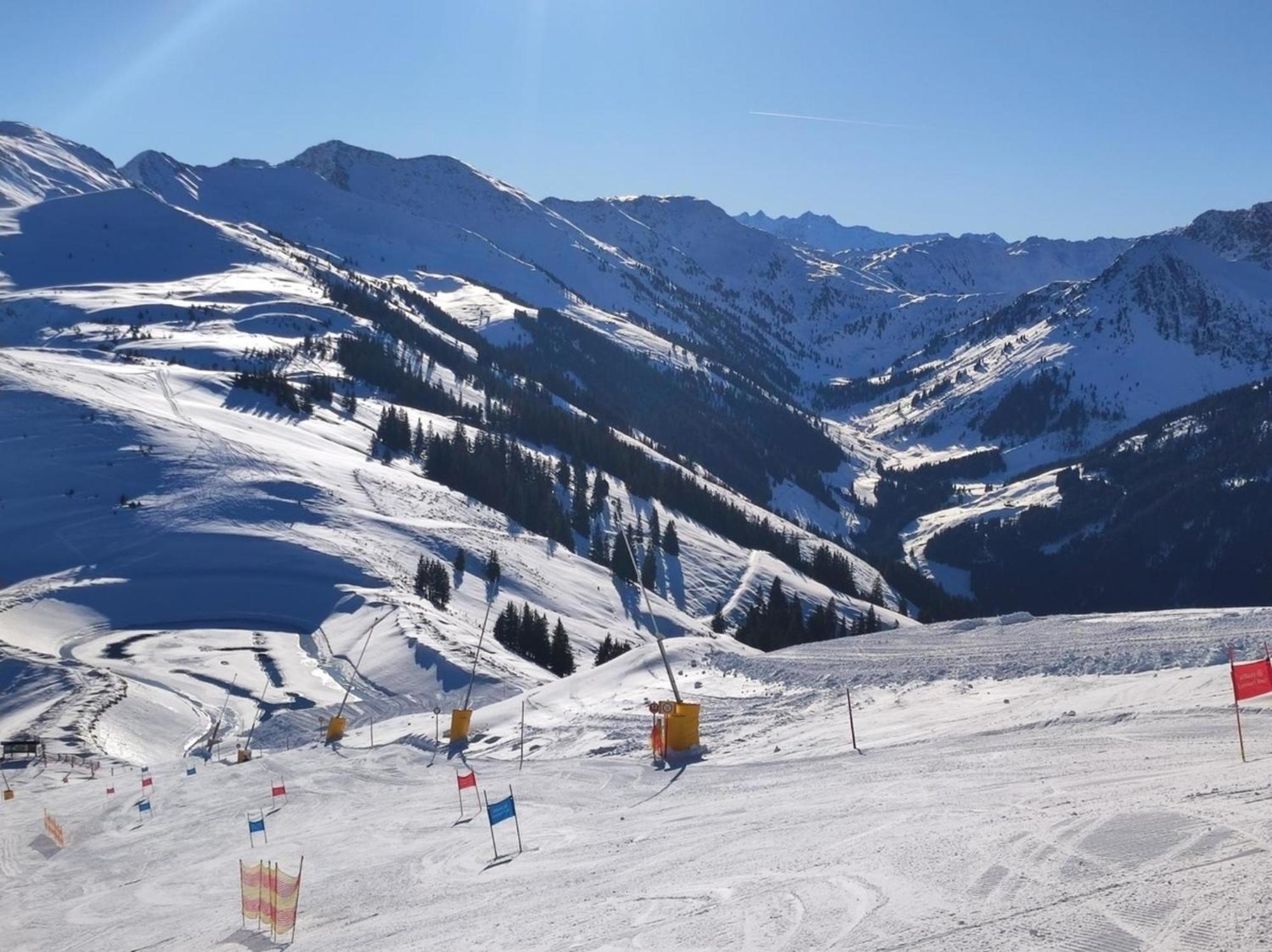 Ferienwohnung Bergpanorama Wild600 Schwarzenau  外观 照片